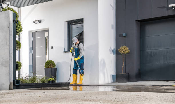 Animal Enclosure Cleaning in Wylie, TX
